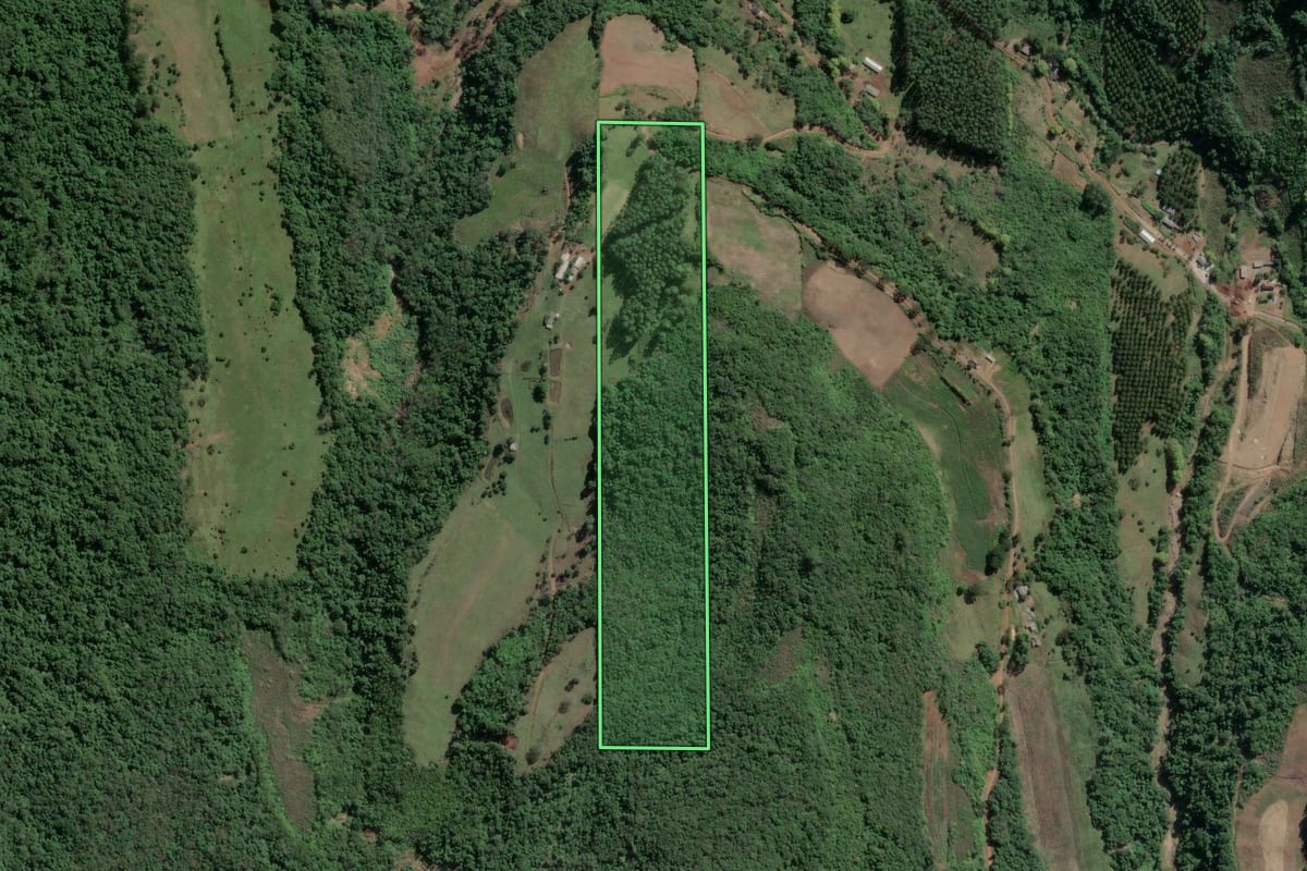 Imagem de satélite do imóvel rural em Coronel Pilar (RS), com o contorno declarado no CAR desenhado por cima.