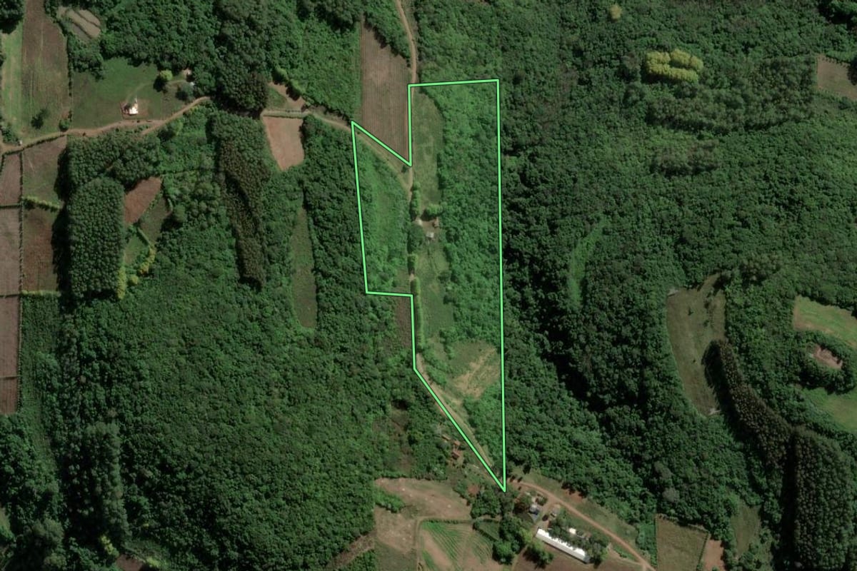Imagem de satélite do imóvel rural em Coronel Pilar (RS), com o contorno declarado no CAR desenhado por cima.