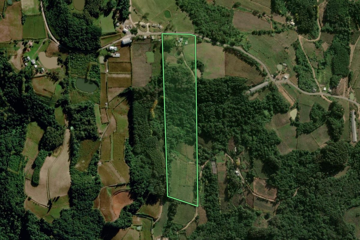 Imagem de satélite do imóvel rural em Coronel Pilar (RS), com o contorno declarado no CAR desenhado por cima.