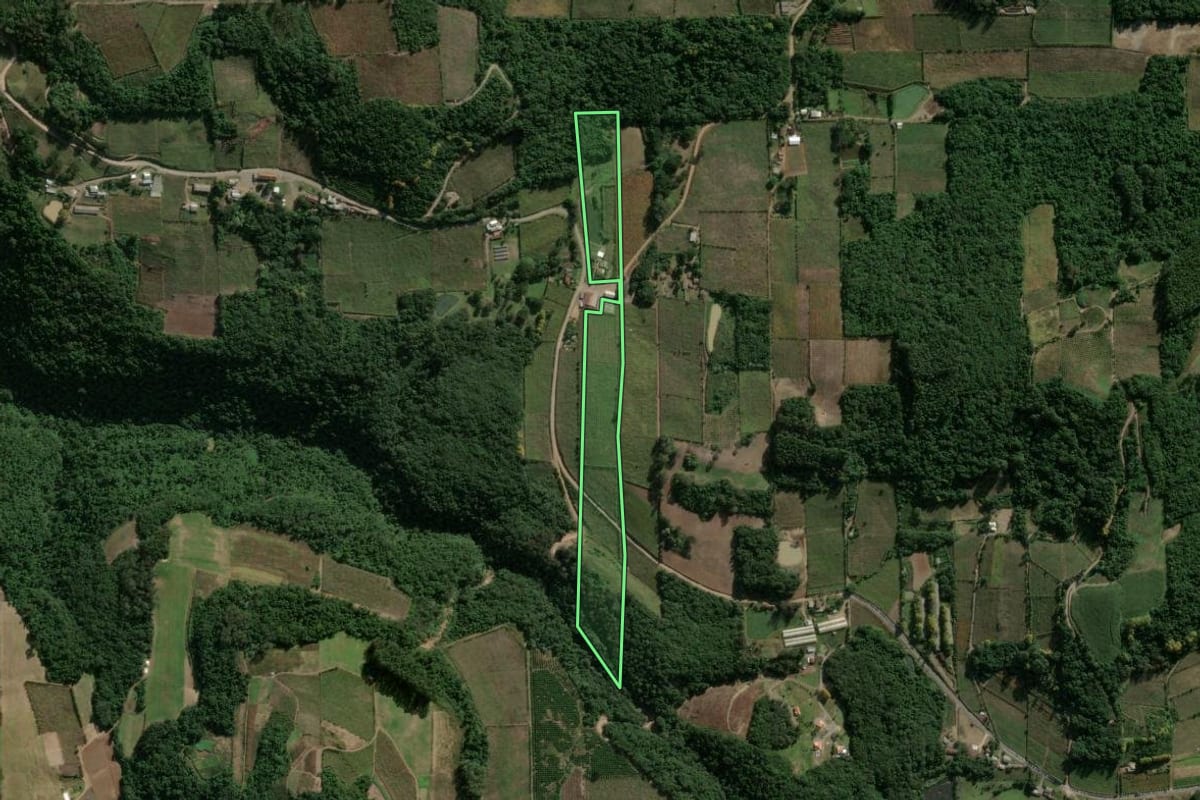 Imagem de satélite do imóvel rural em Coronel Pilar (RS), com o contorno declarado no CAR desenhado por cima.