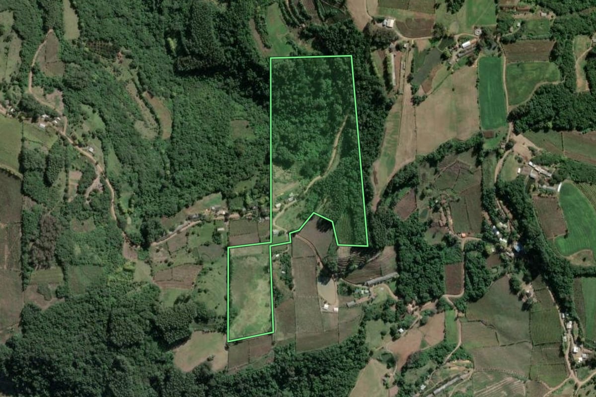 Imagem de satélite do imóvel rural em Coronel Pilar (RS), com o contorno declarado no CAR desenhado por cima.