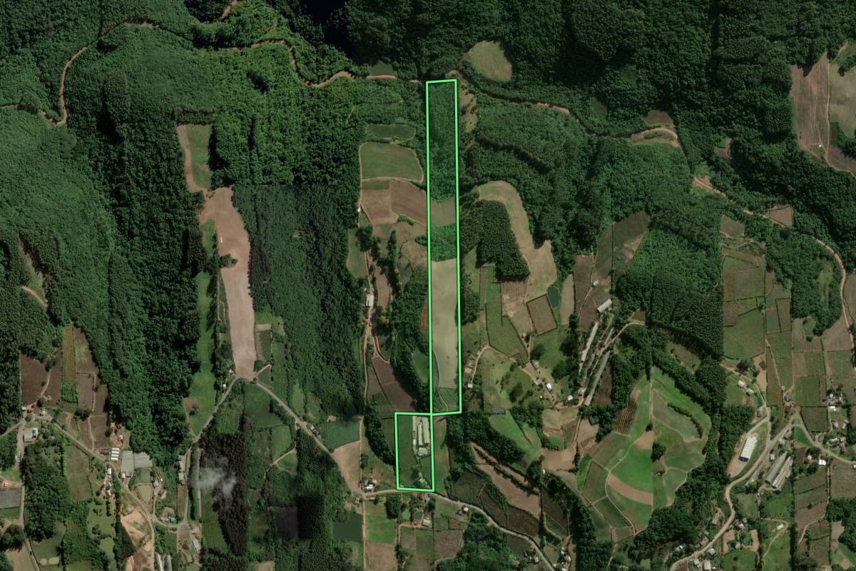 Imagem de satélite do imóvel rural em Coronel Pilar (RS), com o contorno declarado no CAR desenhado por cima.