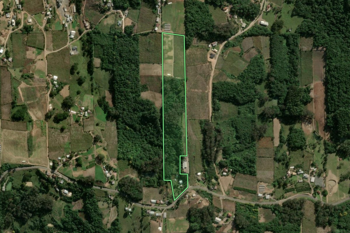 Imagem de satélite do imóvel rural em Coronel Pilar (RS), com o contorno declarado no CAR desenhado por cima.