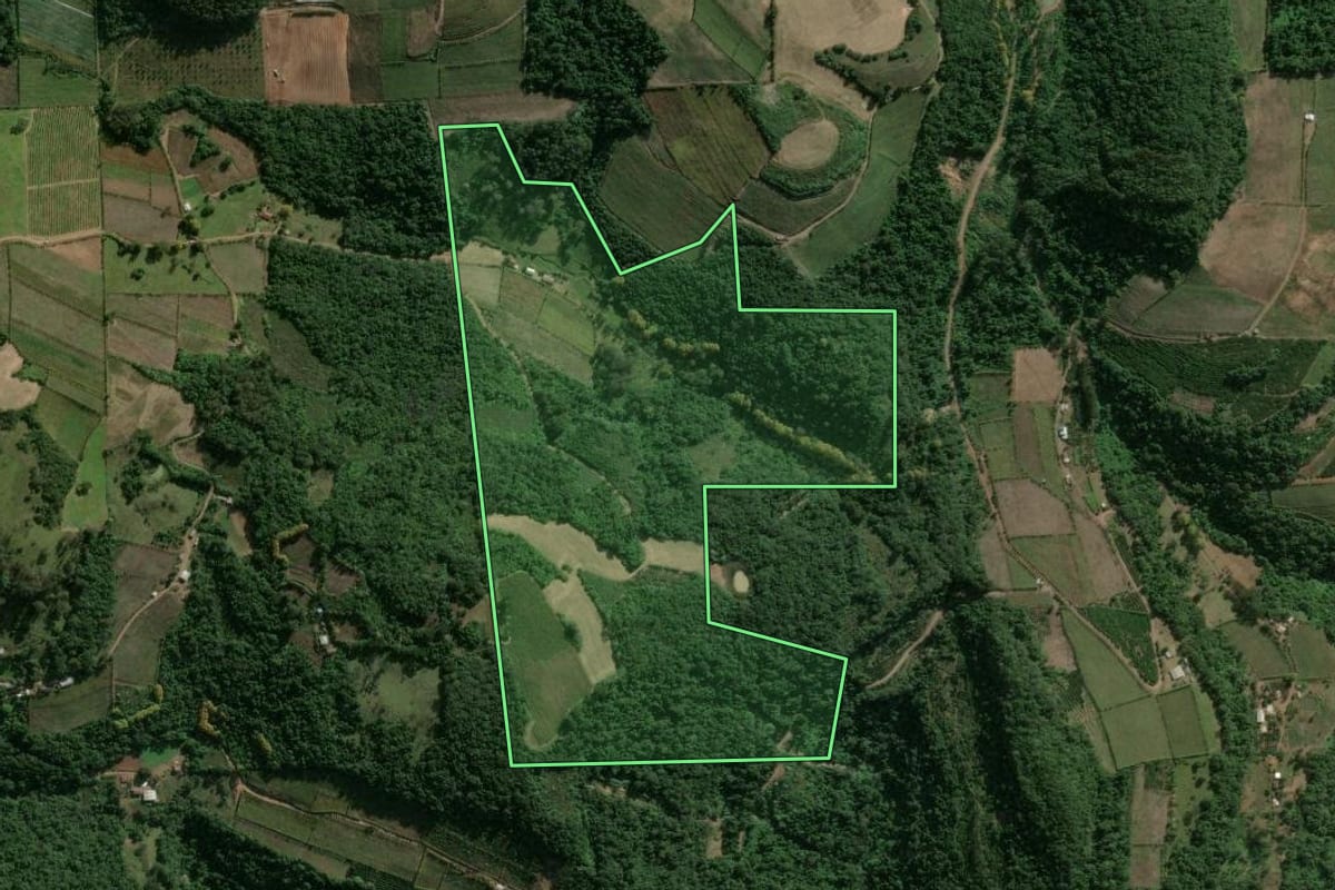 Imagem de satélite do imóvel rural em Cotiporã (RS), com o contorno declarado no CAR desenhado por cima.