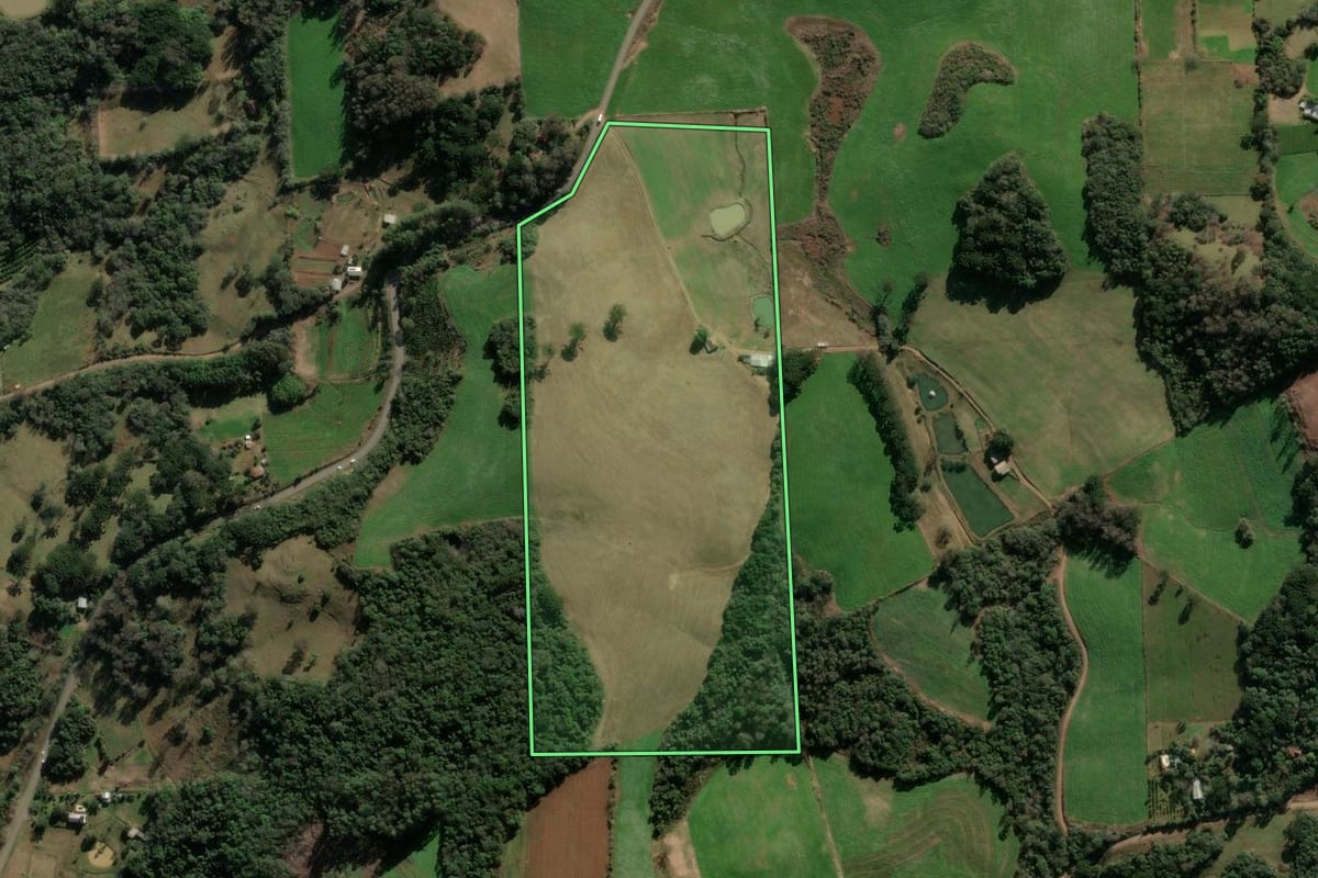Imagem de satélite do imóvel rural em Cotiporã (RS), com o contorno declarado no CAR desenhado por cima.