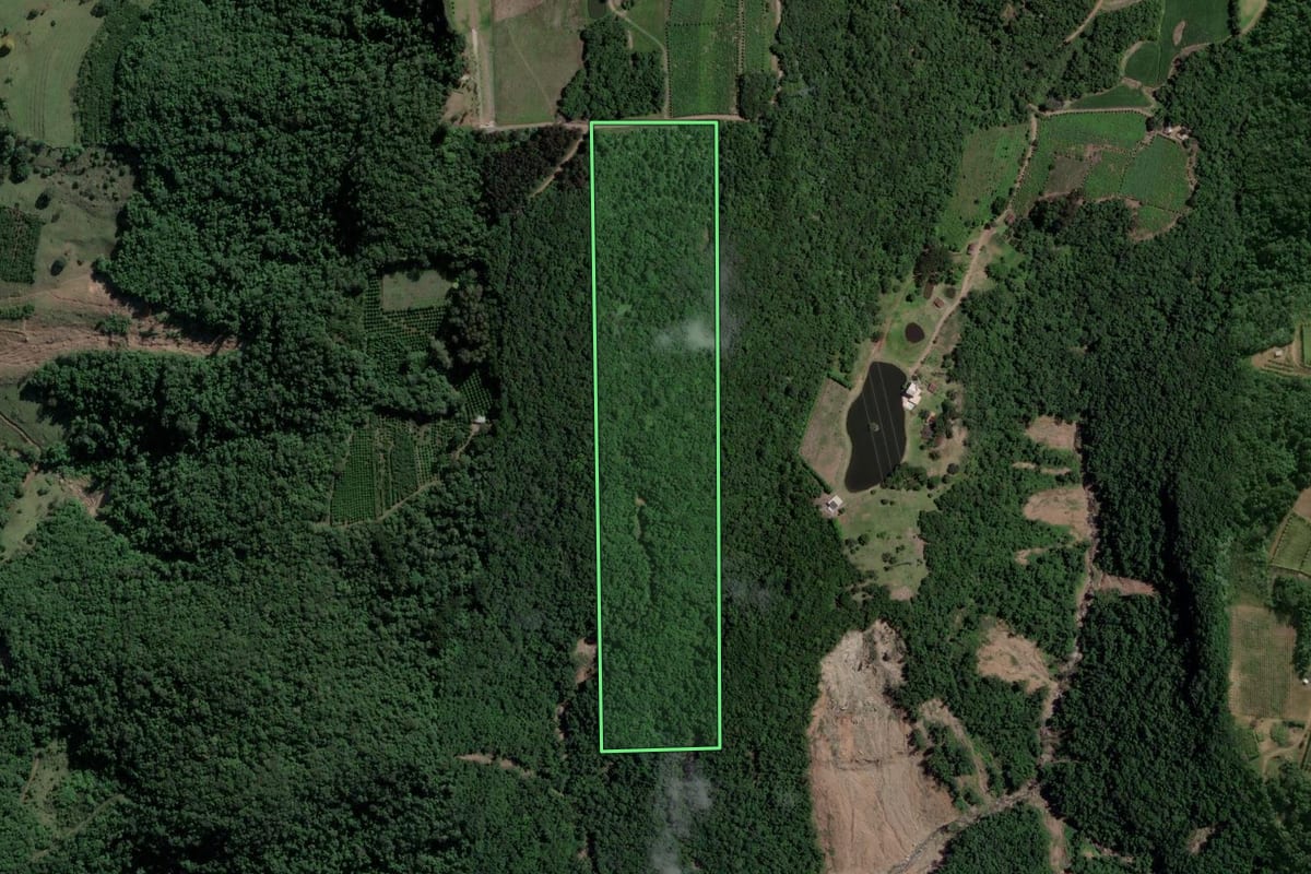 Imagem de satélite do imóvel rural em Cotiporã (RS), com o contorno declarado no CAR desenhado por cima.