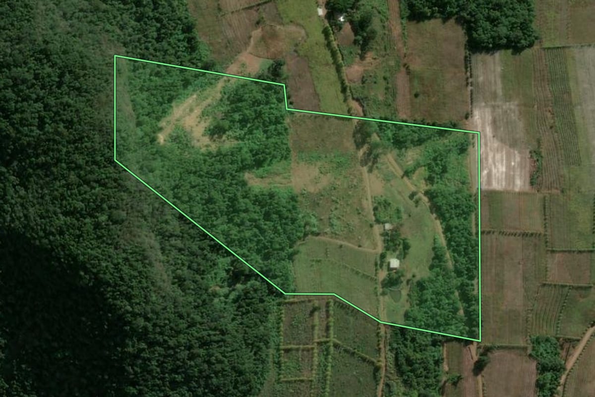 Imagem de satélite do imóvel rural em Cotiporã (RS), com o contorno declarado no CAR desenhado por cima.