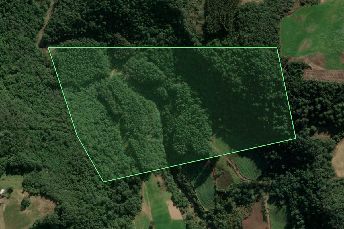 Imagem de satélite do imóvel rural em Cotiporã (RS), com o contorno declarado no CAR desenhado por cima.