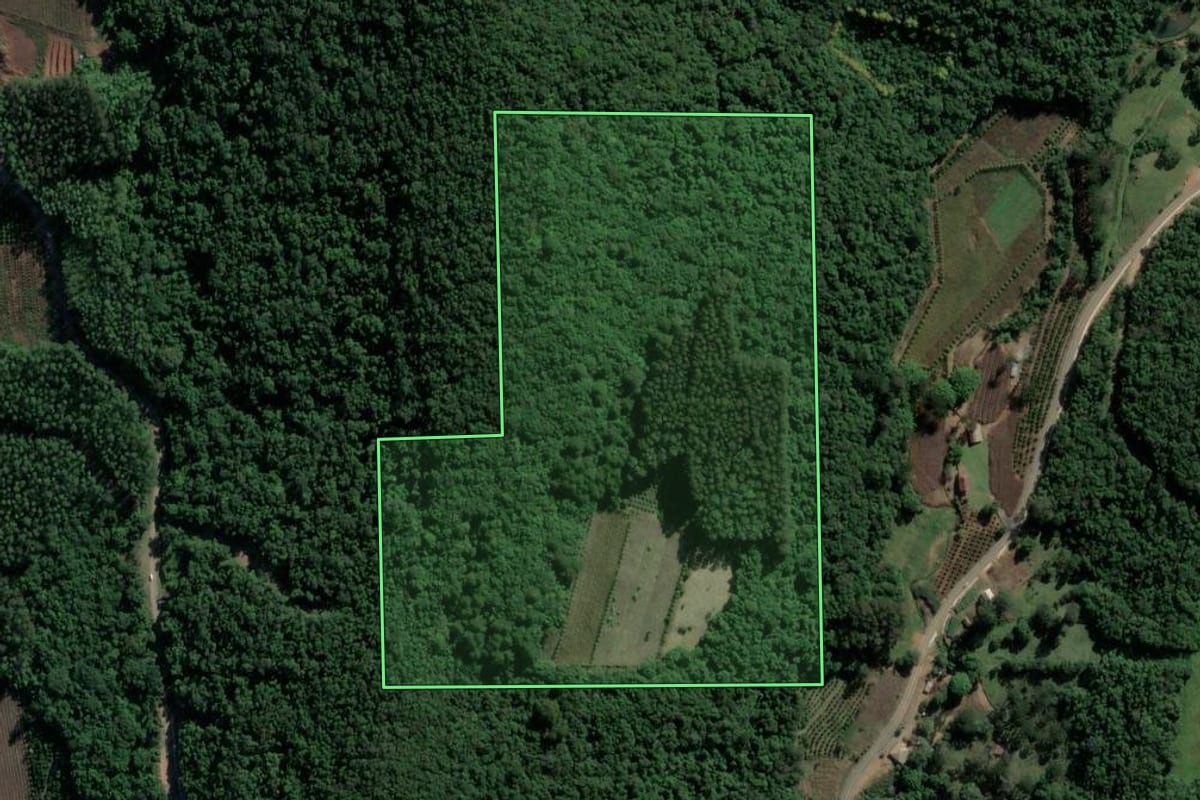 Imagem de satélite do imóvel rural em Cotiporã (RS), com o contorno declarado no CAR desenhado por cima.