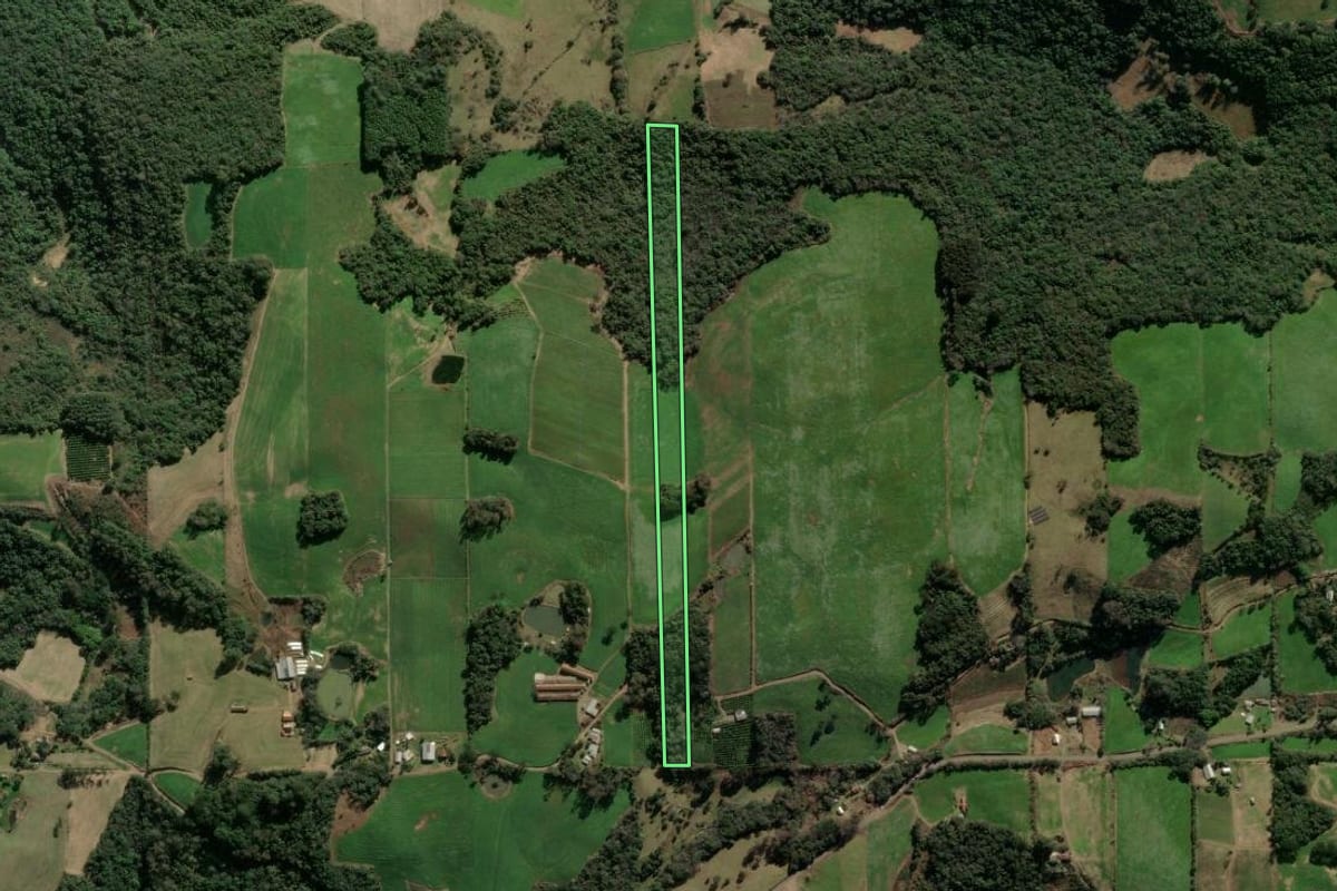 Imagem de satélite do imóvel rural em Cotiporã (RS), com o contorno declarado no CAR desenhado por cima.