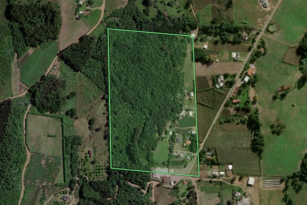 Imagem de satélite do imóvel rural em Cotiporã (RS), com o contorno declarado no CAR desenhado por cima.
