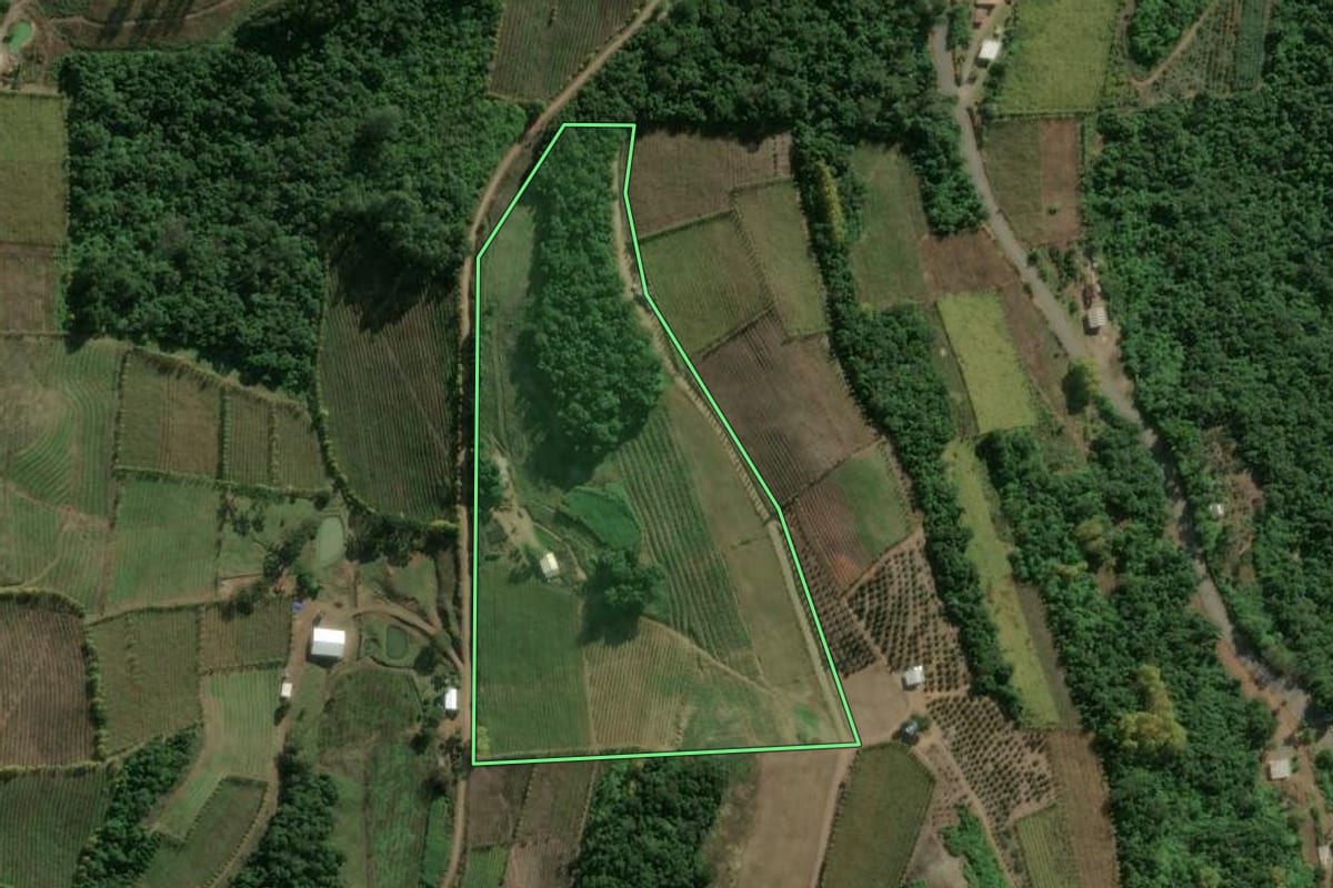 Imagem de satélite do imóvel rural em Cotiporã (RS), com o contorno declarado no CAR desenhado por cima.