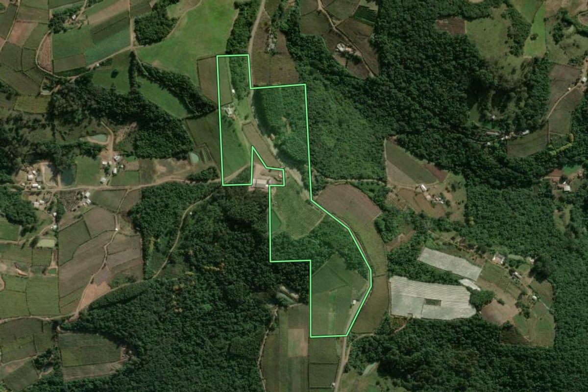 Imagem de satélite do imóvel rural em Cotiporã (RS), com o contorno declarado no CAR desenhado por cima.