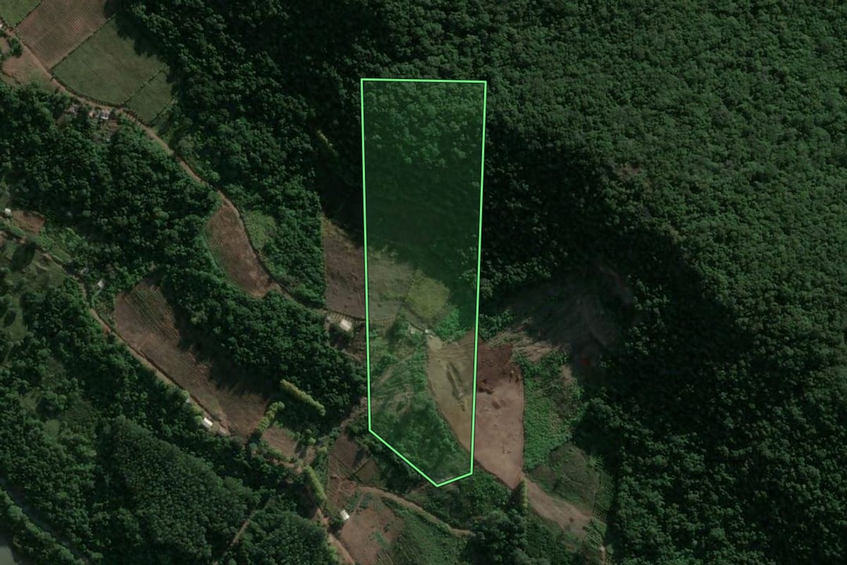 Imagem de satélite do imóvel rural em Cotiporã (RS), com o contorno declarado no CAR desenhado por cima.
