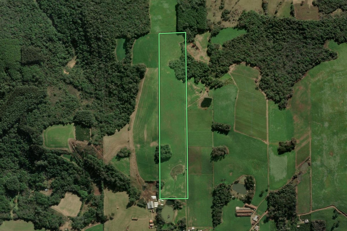 Imagem de satélite do imóvel rural em Cotiporã (RS), com o contorno declarado no CAR desenhado por cima.