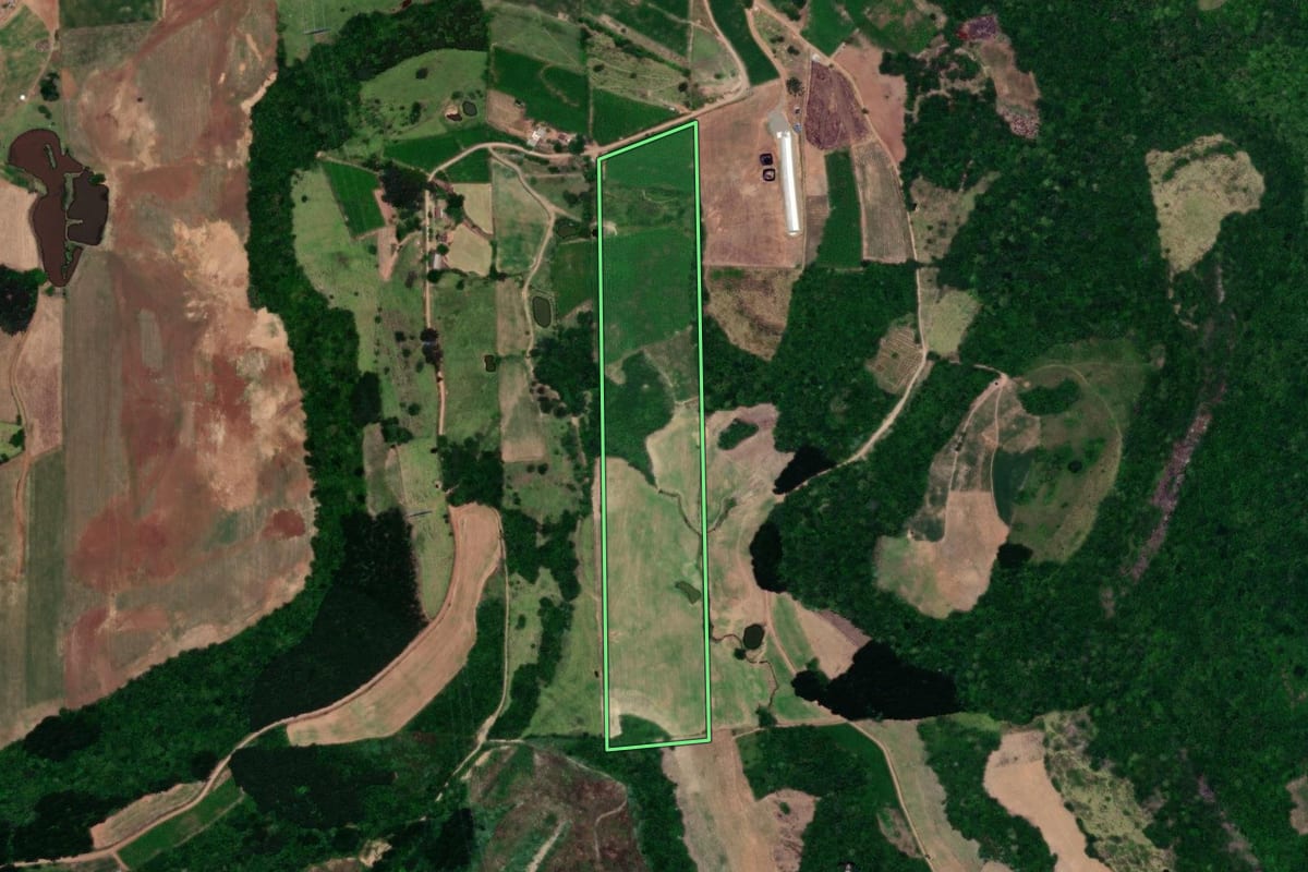 Imagem de satélite do imóvel rural em Cotiporã (RS), com o contorno declarado no CAR desenhado por cima.