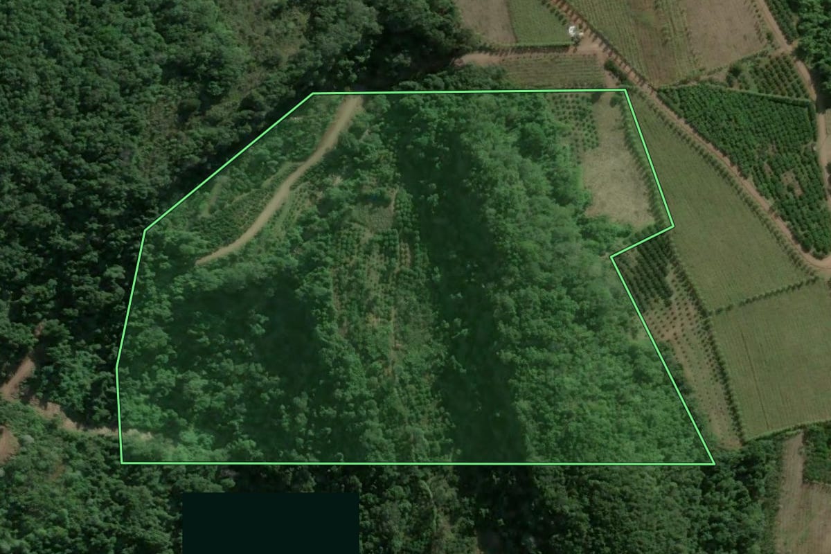 Imagem de satélite do imóvel rural em Cotiporã (RS), com o contorno declarado no CAR desenhado por cima.