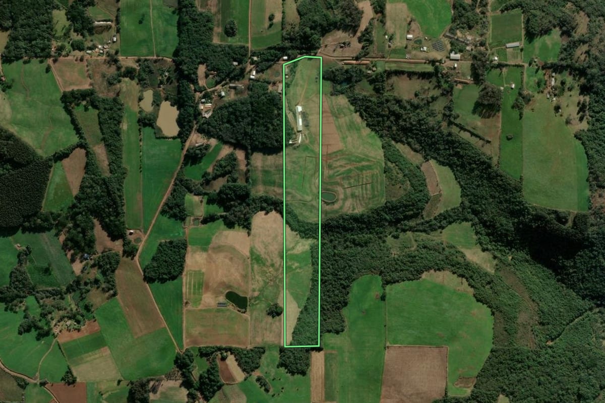 Imagem de satélite do imóvel rural em Cotiporã (RS), com o contorno declarado no CAR desenhado por cima.