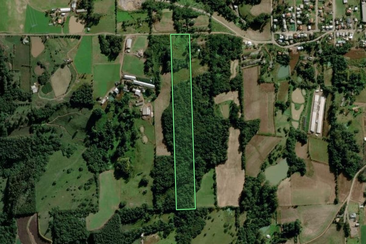 Imagem de satélite do imóvel rural em Cotiporã (RS), com o contorno declarado no CAR desenhado por cima.