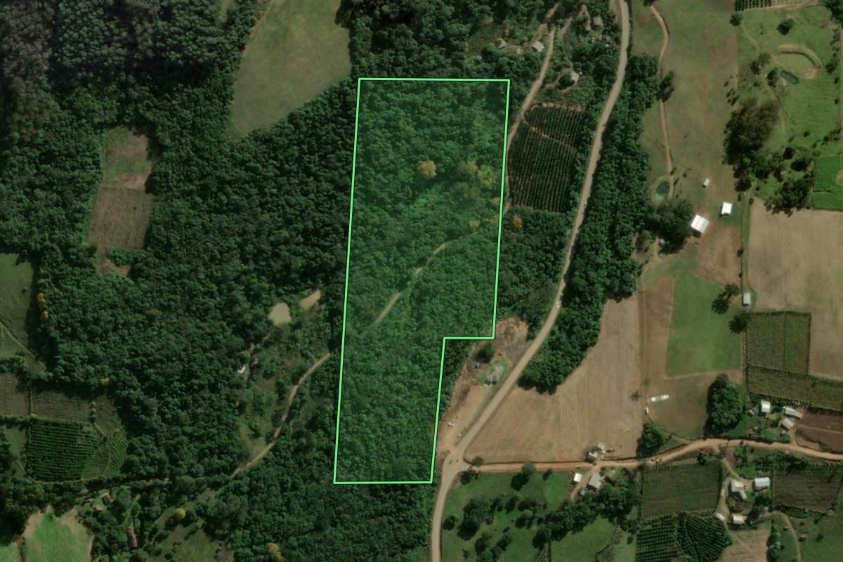 Imagem de satélite do imóvel rural em Cotiporã (RS), com o contorno declarado no CAR desenhado por cima.