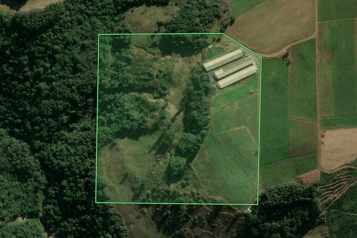 Imagem de satélite do imóvel rural em Cotiporã (RS), com o contorno declarado no CAR desenhado por cima.