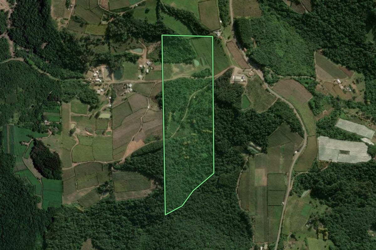 Imagem de satélite do imóvel rural em Cotiporã (RS), com o contorno declarado no CAR desenhado por cima.