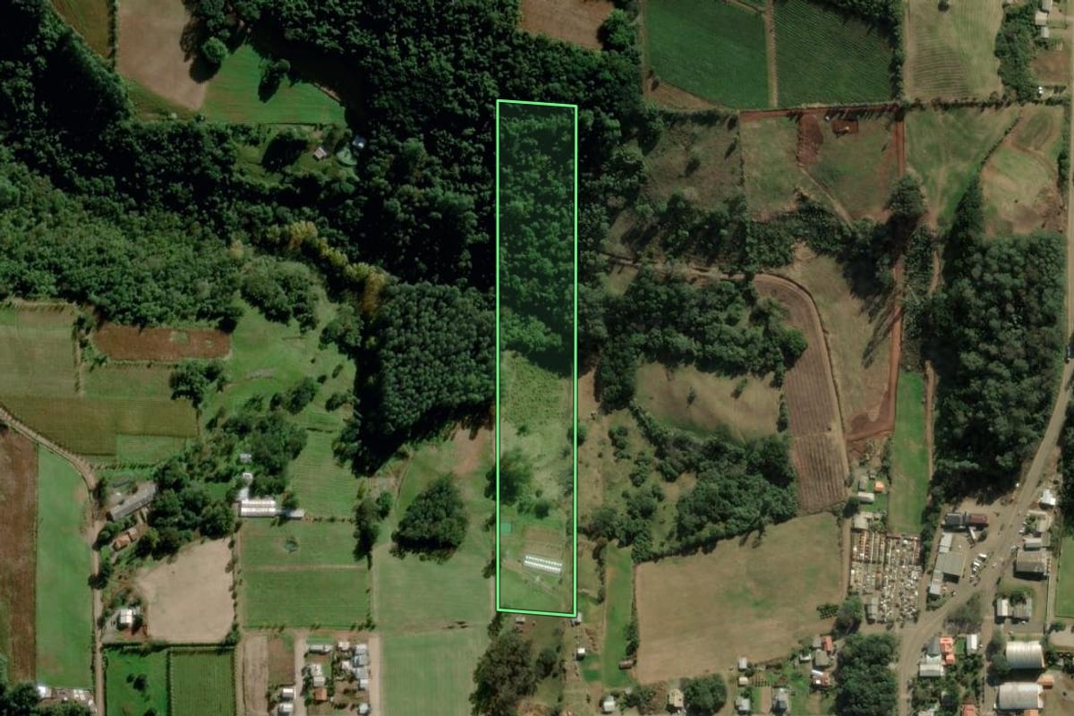 Imagem de satélite do imóvel rural em Cotiporã (RS), com o contorno declarado no CAR desenhado por cima.