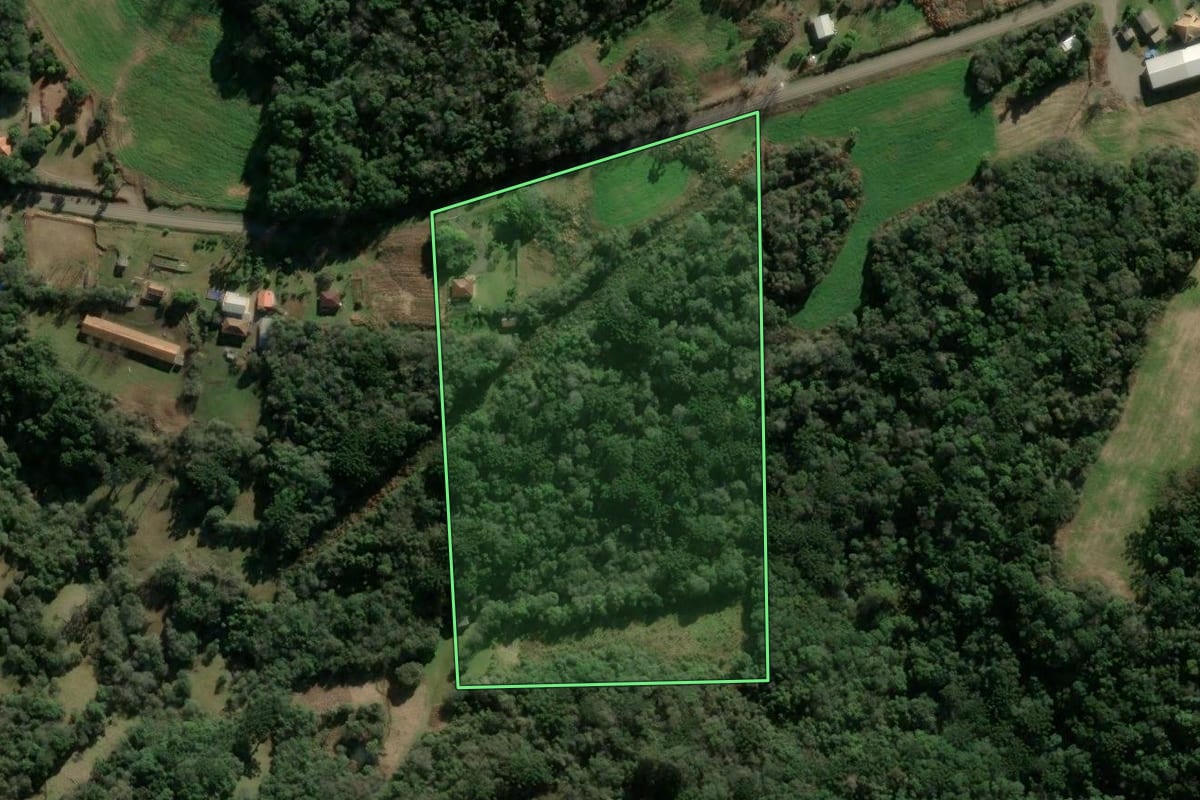 Imagem de satélite do imóvel rural em Cotiporã (RS), com o contorno declarado no CAR desenhado por cima.