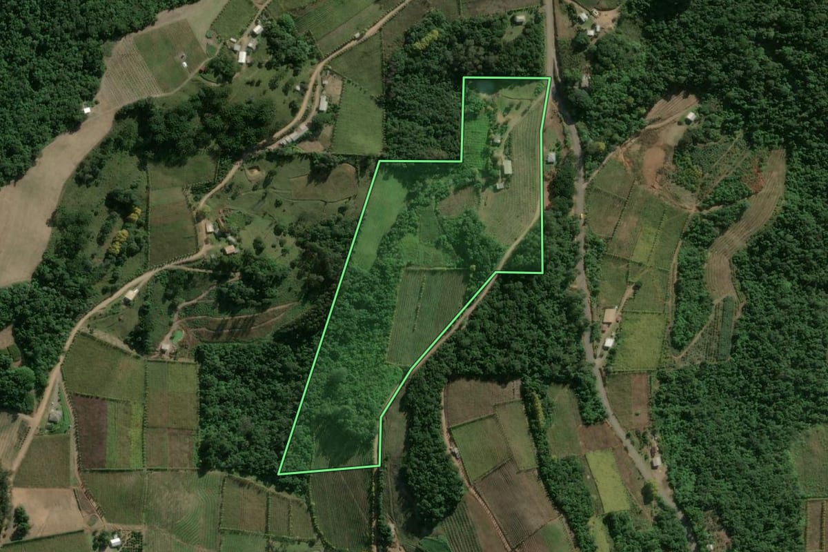 Imagem de satélite do imóvel rural em Cotiporã (RS), com o contorno declarado no CAR desenhado por cima.