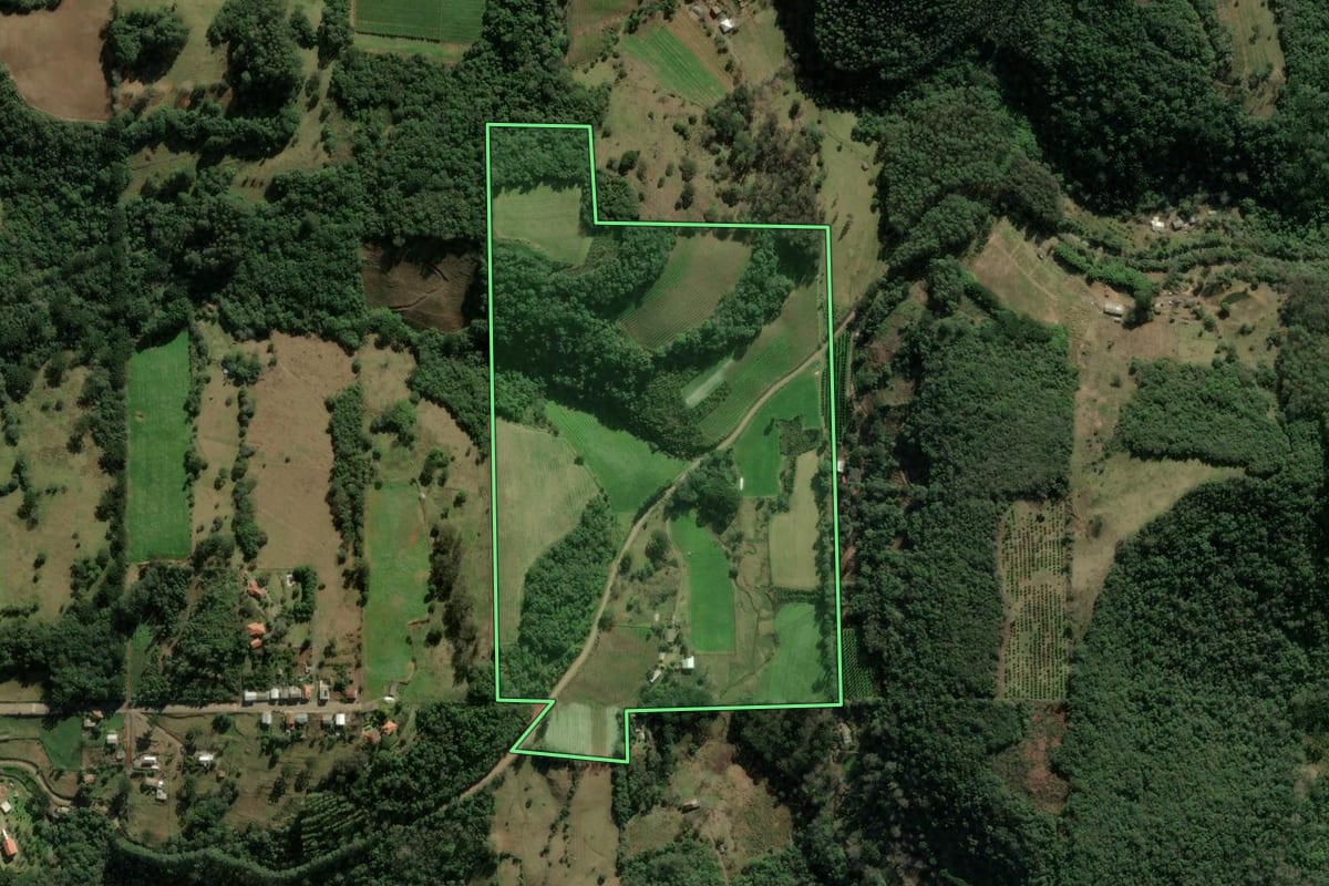 Imagem de satélite do imóvel rural em Cotiporã (RS), com o contorno declarado no CAR desenhado por cima.