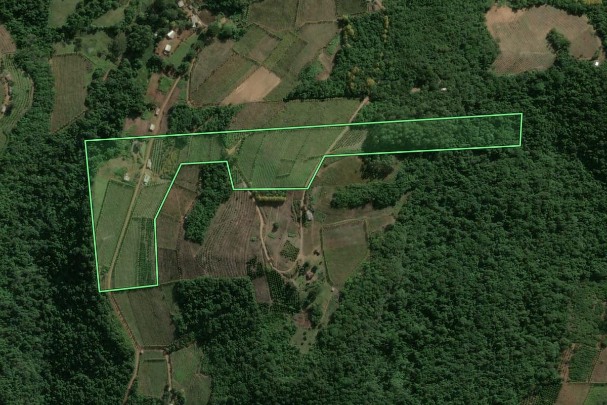 Imagem de satélite do imóvel rural em Cotiporã (RS), com o contorno declarado no CAR desenhado por cima.