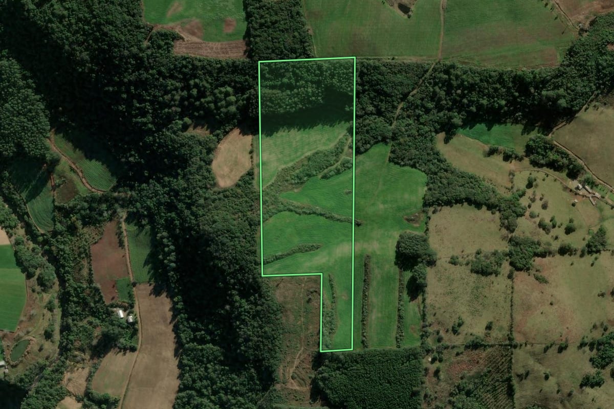 Imagem de satélite do imóvel rural em Cotiporã (RS), com o contorno declarado no CAR desenhado por cima.