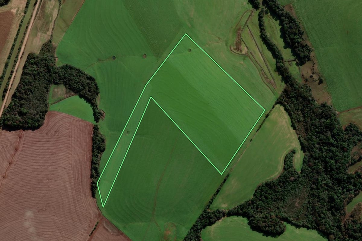 Imagem de satélite do imóvel rural em Coxilha (RS), com o contorno declarado no CAR desenhado por cima.