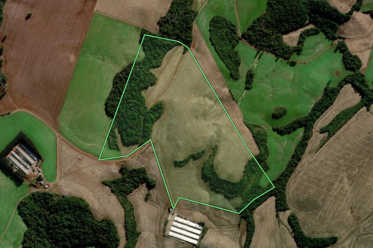 Imagem de satélite do imóvel rural em Coxilha (RS), com o contorno declarado no CAR desenhado por cima.
