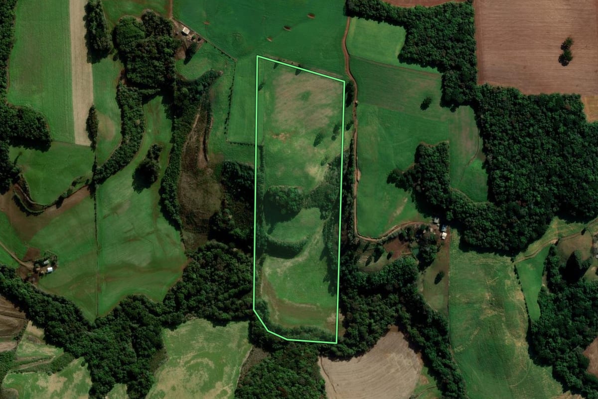 Imagem de satélite do imóvel rural em Coxilha (RS), com o contorno declarado no CAR desenhado por cima.