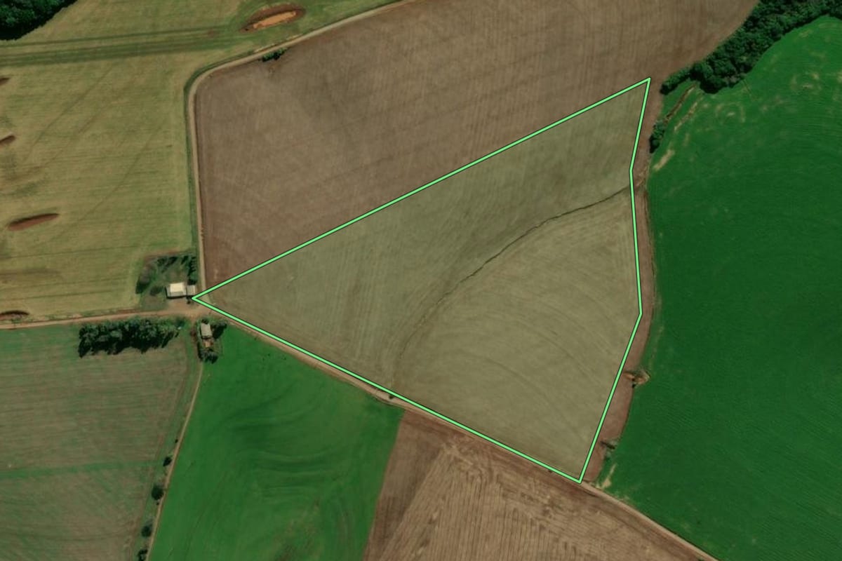 Imagem de satélite do imóvel rural em Coxilha (RS), com o contorno declarado no CAR desenhado por cima.