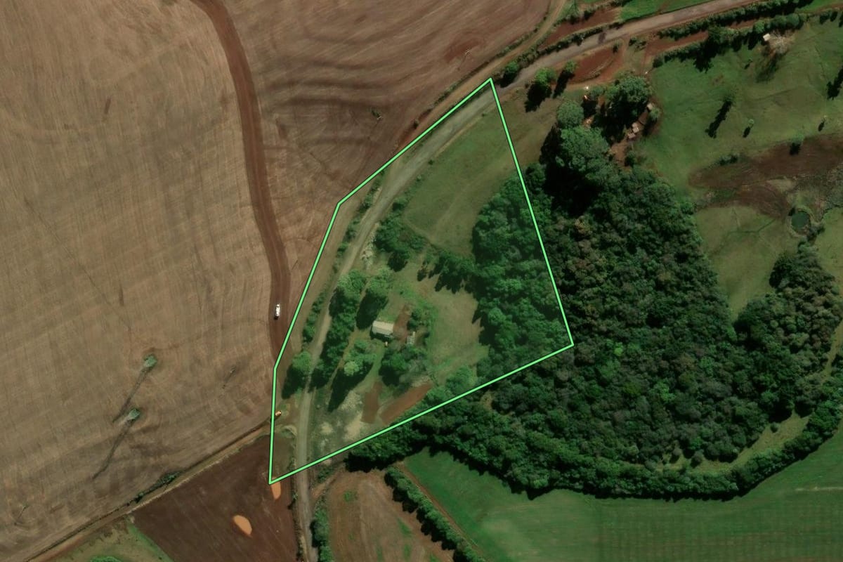 Imagem de satélite do imóvel rural em Coxilha (RS), com o contorno declarado no CAR desenhado por cima.