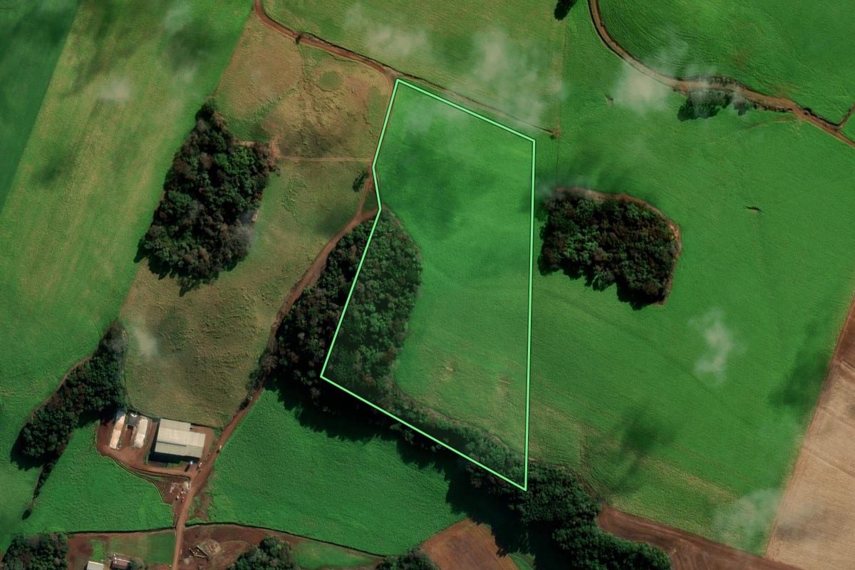 Imagem de satélite do imóvel rural em Coxilha (RS), com o contorno declarado no CAR desenhado por cima.