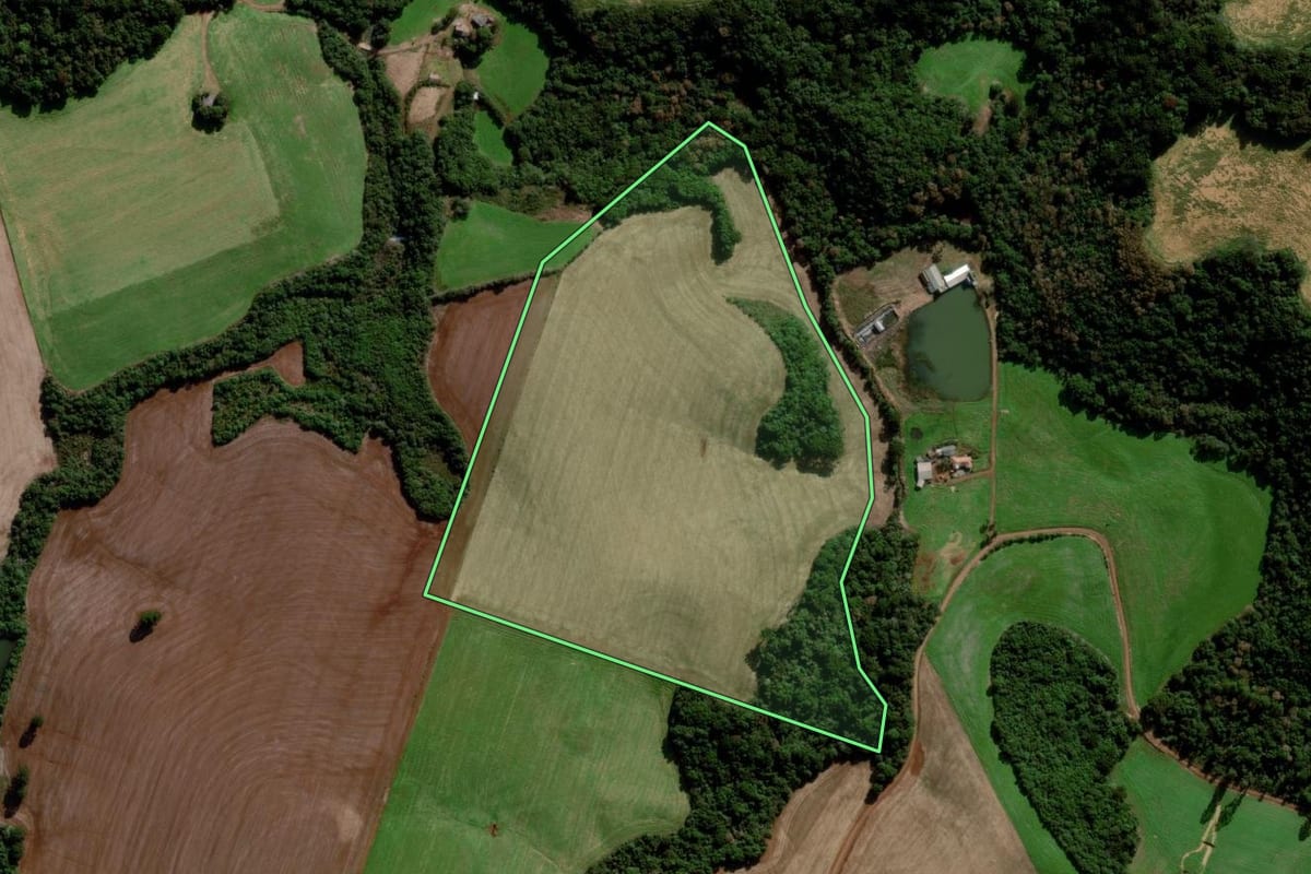 Imagem de satélite do imóvel rural em Coxilha (RS), com o contorno declarado no CAR desenhado por cima.