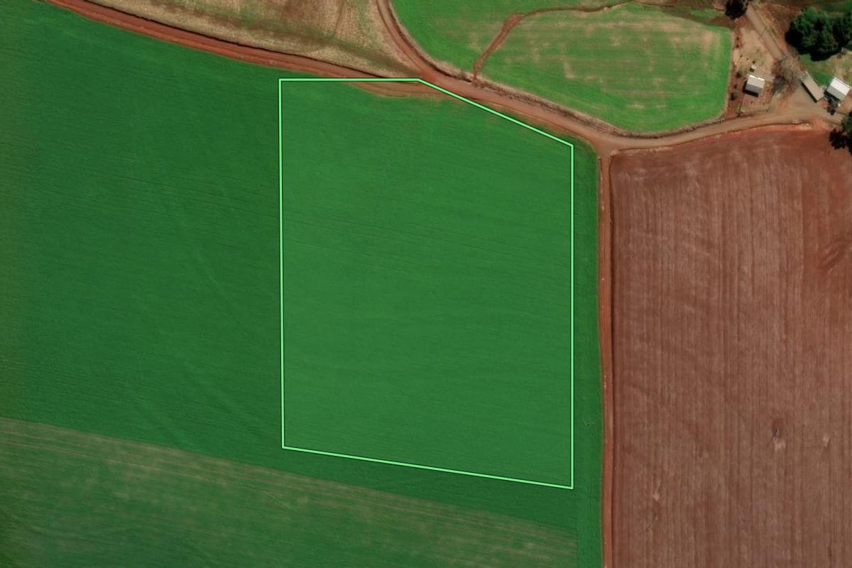 Imagem de satélite do imóvel rural em Coxilha (RS), com o contorno declarado no CAR desenhado por cima.