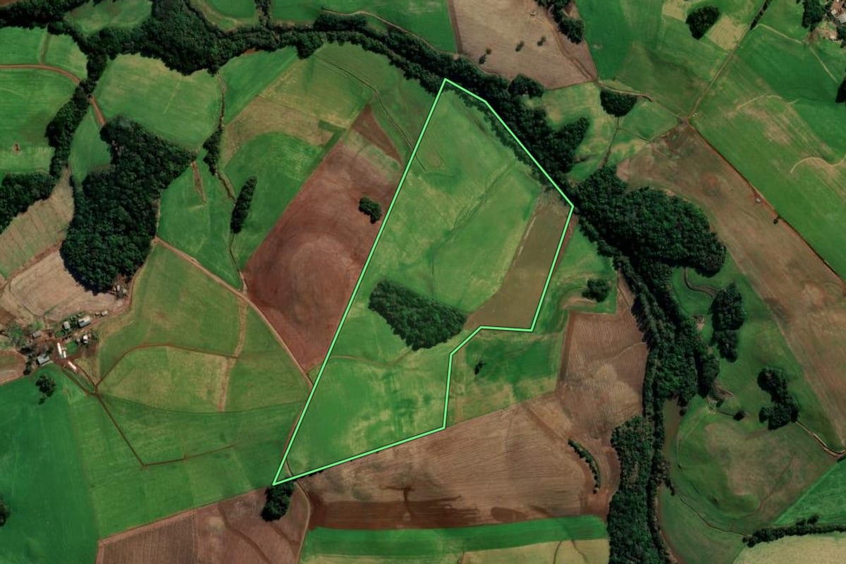 Imagem de satélite do imóvel rural em Coxilha (RS), com o contorno declarado no CAR desenhado por cima.