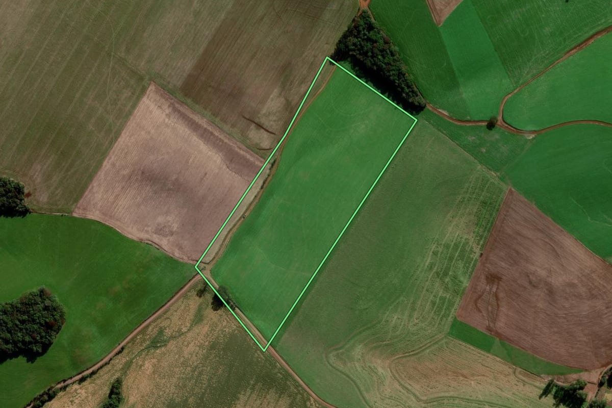 Imagem de satélite do imóvel rural em Coxilha (RS), com o contorno declarado no CAR desenhado por cima.