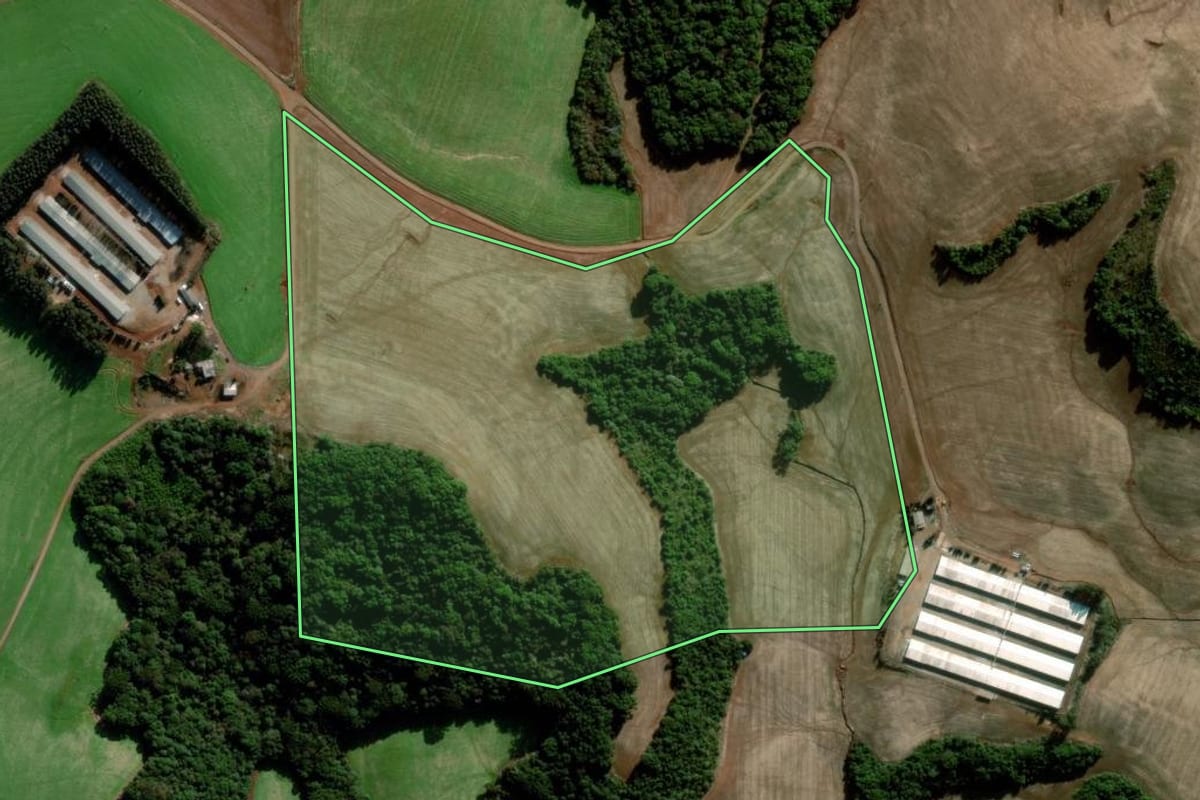 Imagem de satélite do imóvel rural em Coxilha (RS), com o contorno declarado no CAR desenhado por cima.