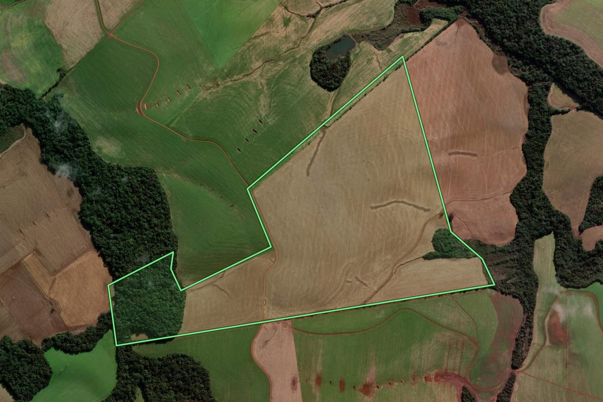 Imagem de satélite do imóvel rural em Coxilha (RS), com o contorno declarado no CAR desenhado por cima.