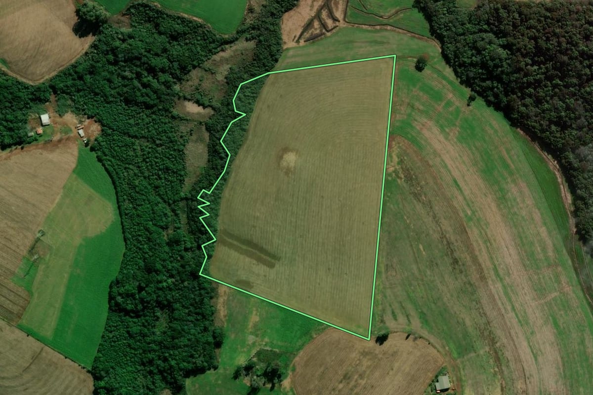 Imagem de satélite do imóvel rural em Coxilha (RS), com o contorno declarado no CAR desenhado por cima.