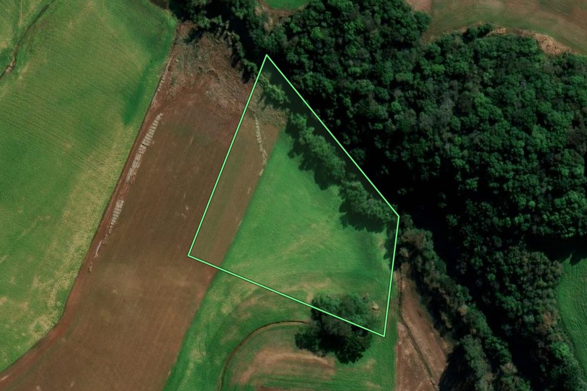 Imagem de satélite do imóvel rural em Coxilha (RS), com o contorno declarado no CAR desenhado por cima.