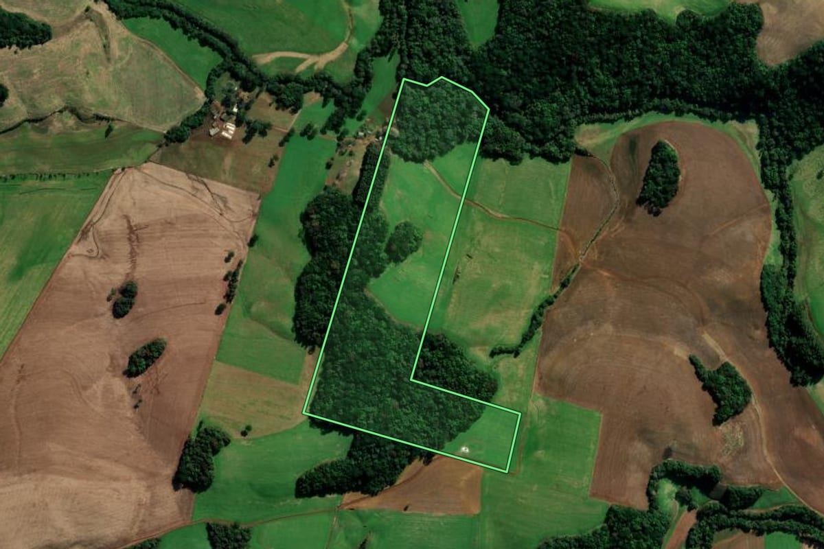 Imagem de satélite do imóvel rural em Coxilha (RS), com o contorno declarado no CAR desenhado por cima.