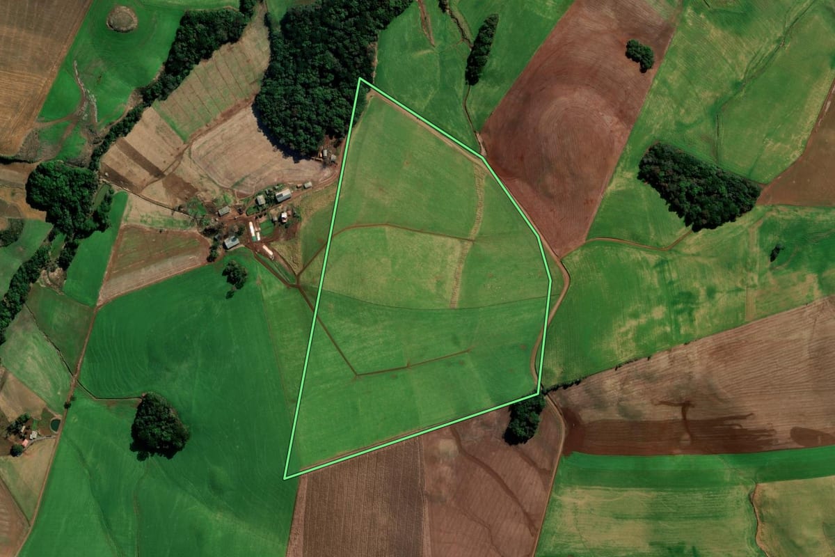 Imagem de satélite do imóvel rural em Coxilha (RS), com o contorno declarado no CAR desenhado por cima.