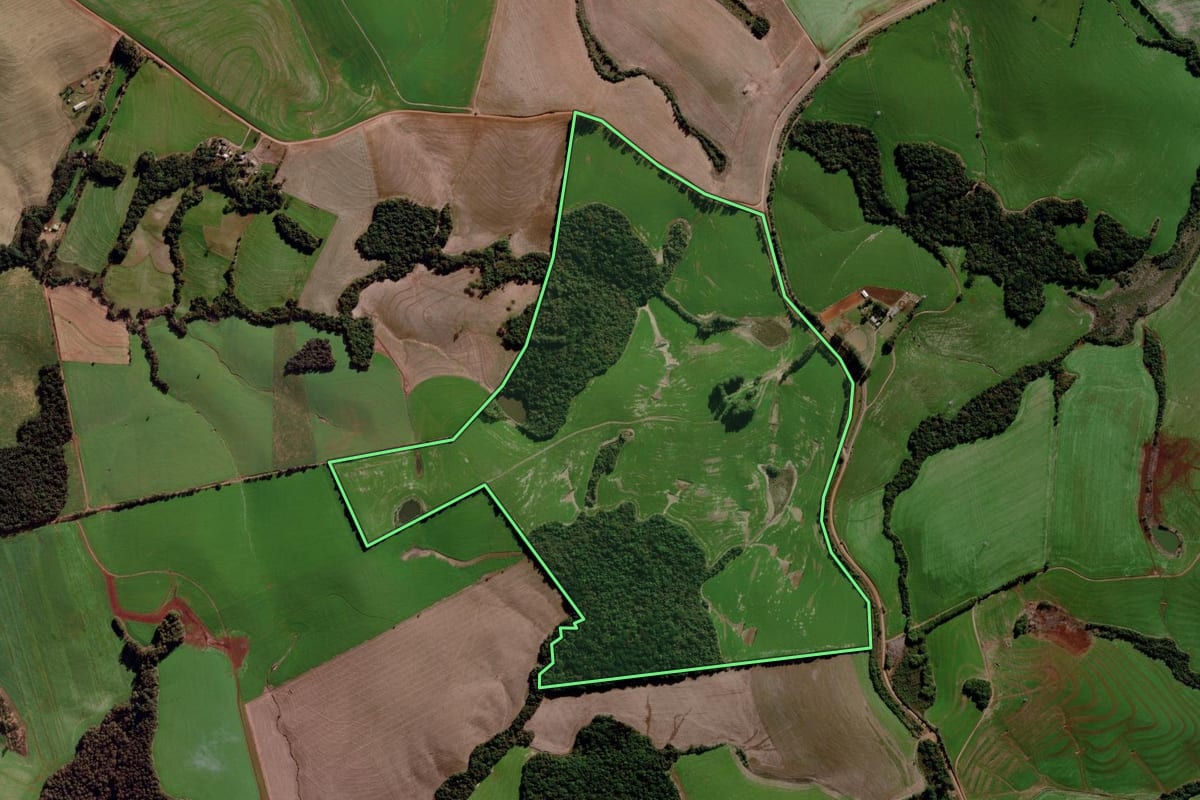 Imagem de satélite do imóvel rural em Coxilha (RS), com o contorno declarado no CAR desenhado por cima.
