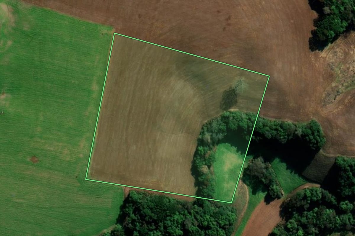 Imagem de satélite do imóvel rural em Coxilha (RS), com o contorno declarado no CAR desenhado por cima.